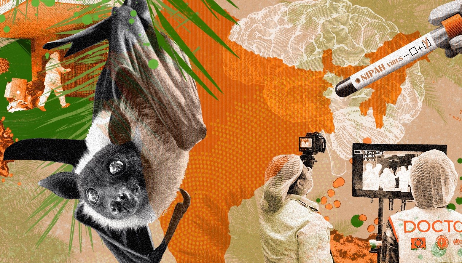 Nipah Virus Outbreak Explained: How It Spreads and How to Stay Safe