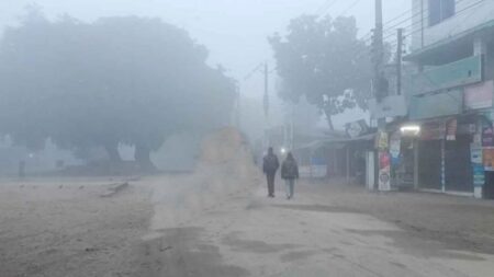 ১৯ জেলায় বইছে মৃদু শৈত্যপ্রবাহ, অব্যাহত থাকার আভাস শৈত্যপ্রবাহ
