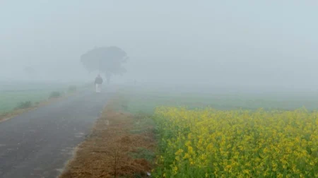 হাড়কাঁপানো শীত