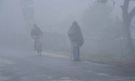 শৈত্যপ্রবাহ