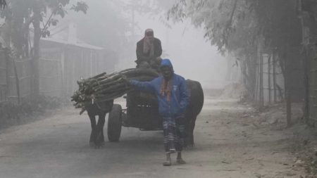 শীতের দাপট কমেছে, দেশের কোথাও শৈত্যপ্রবাহ নেই Cold