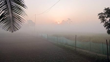 শৈত্যপ্রবাহ