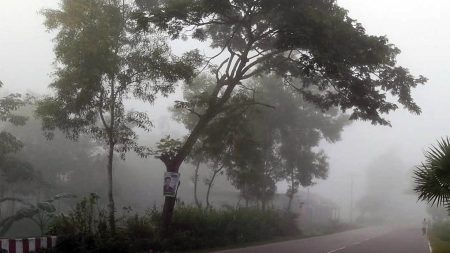 শীত