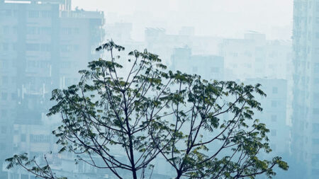শৈত্যপ্রবাহ অব্যাহত