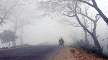 Cold wave