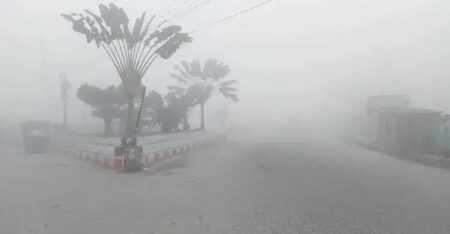 শীতজনিত রোগ