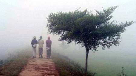 শীতের তীব্রতা আবারও বাড়তে পারে Coldwive