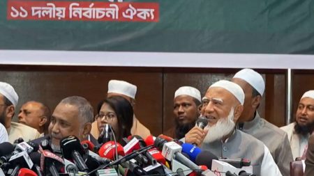 ১১ দলীয় জোট