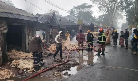 অগ্নিকাণ্ডের পুড়ে গেছে