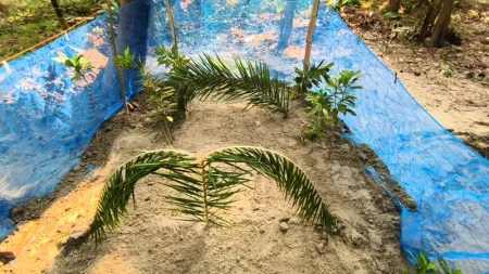 পাশাপাশি কবরে দাফন হলো কারাবন্দি ছাত্রলীগ নেতা সাদ্দামের স্ত্রী ও ছোট্ট সন্তান ছাত্রলীগ নেতা