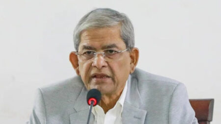 কঠিন সময়ে দেশে ফিরেছেন তারেক রহমান : মির্জা ফখরুল মির্জা ফখরুল