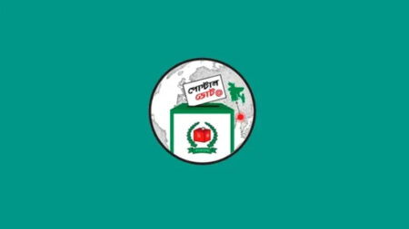 প্রবাসীদের কাছে ৭ লাখ ২৮ হাজার পোস্টাল ব্যালট পাঠাল ইসি পোস্টাল ব্যালট