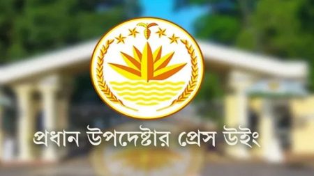 সরকারের বিবৃতি