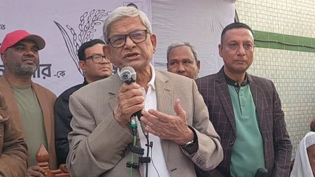 আ.লীগের নিরপরাধ সমর্থনকারীদের পাশে থাকবে বিএনপি : মির্জা ফখরুল Rakhrul