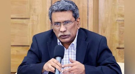 সরকারি কর্মচারীদের ‘হ্যাঁ’ ভোটের প্রচারে আইনি বাধা নেই : আলী রীয়াজ আলী রীয়াজ