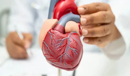 হৃদ্‌যন্ত্রের