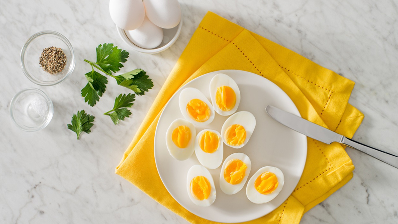 egg