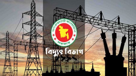 বিদ্যুতে অশনিসংকেত, এক বছরে বিপিডিবির লোকসান বেড়েছে ৯৪ শতাংশ electricity
