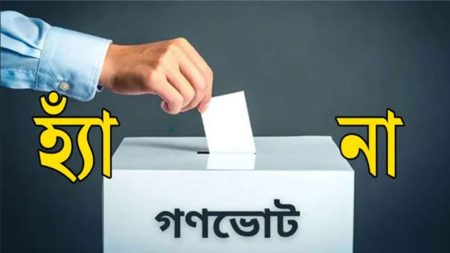 গণভোটে ‘না’ জিতলে কী হবে? গণভোটে