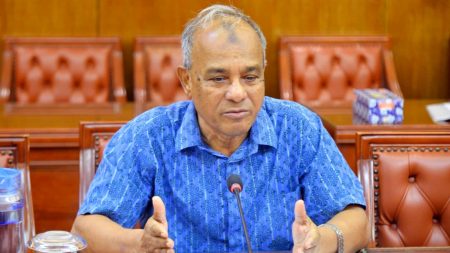 স্বরাষ্ট্র উপদেষ্টা