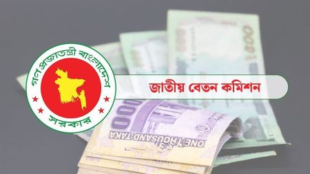 নতুন পে-স্কেলের বেতন