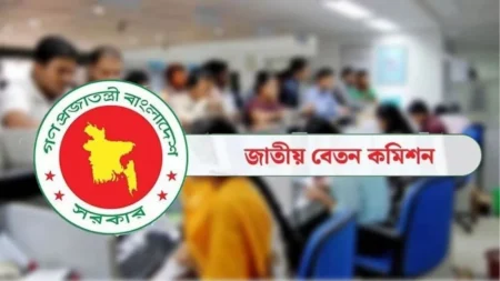 নতুন বেতনকাঠামো