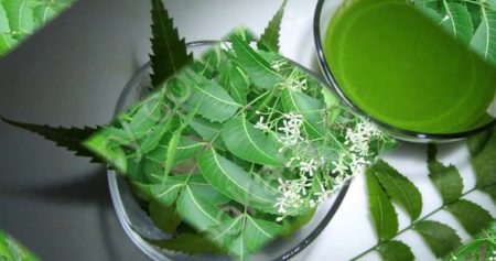 শিশুর পেটের কৃমি নির্মূল করে যে পাতার রস রস