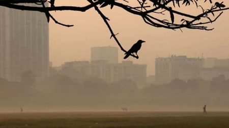 শীত - আবহাওয়া অফিস