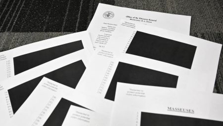 epstein files library