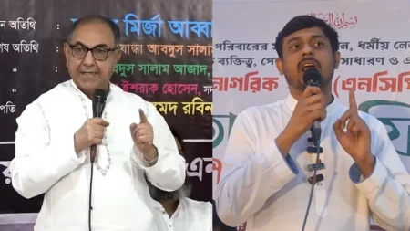 মির্জা আব্বাস