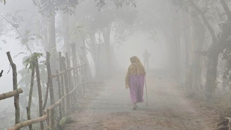 শীত নিয়ে আবহাওয়া অধিদপ্তরের নতুন বার্তা শীত