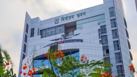 উপনির্বাচন