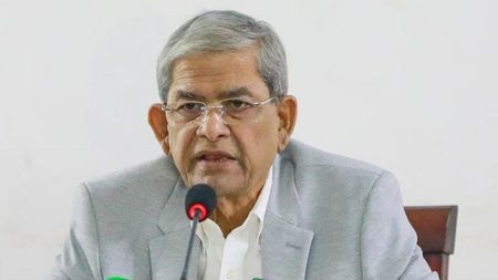 মেয়াদ অনুযায়ী সিটি নির্বাচন অনুষ্ঠিত হবে : মির্জা ফখরুল মির্জা ফখরুল