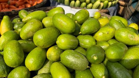 লেবুর দাম