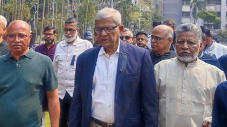 গণতন্ত্র রক্ষায় দেশের জনগণ দৃঢ়তার সঙ্গে ঘুরে দাঁড়িয়েছে : মির্জা ফখরুল মির্জা ফখরুল