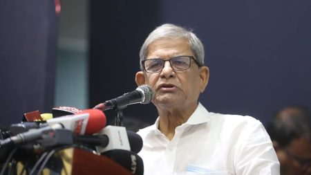 Mirza Fakhrul Islam Alamgir