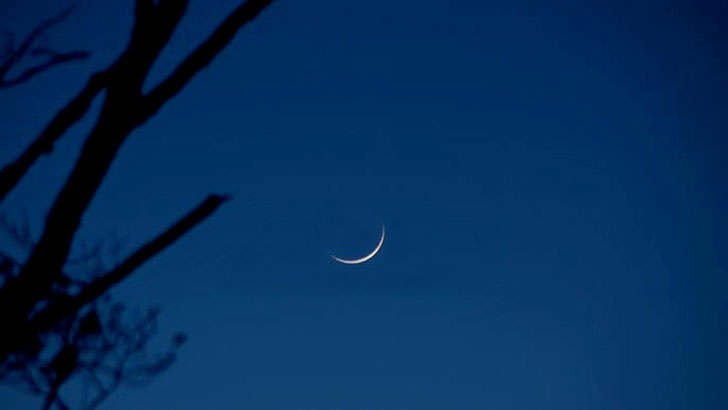 Moon
