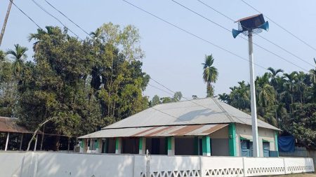 শাপলা কলি