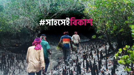 The Struggles of the Honey Collectors of the Sundarbans