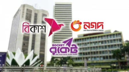 ত্রয়োদশ সংসদ নির্বাচন