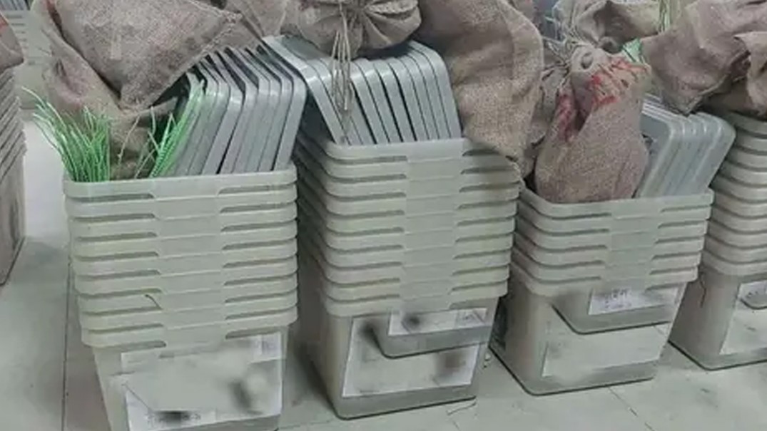 ব্যালট
