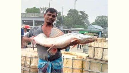 আইড় মাছ