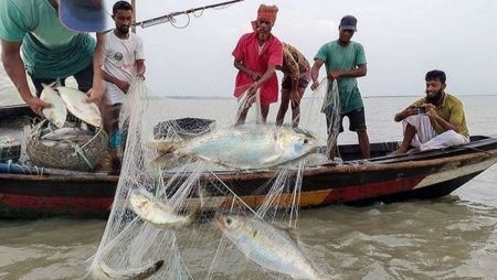 মাছ ধরা নিষিদ্ধ
