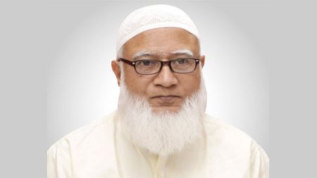 জামায়াত আমির