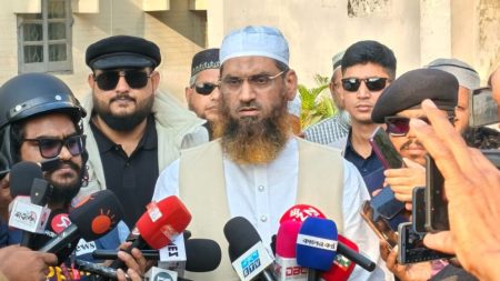 তিন কেন্দ্রের ফল: ঢাকা-১৩ আসনে এগিয়ে মামুনুল হক মামুনুল হক