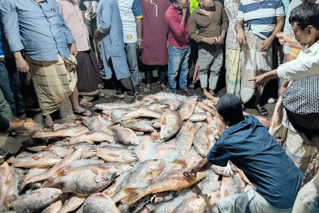 সেন্টমার্টিনে ধরা পড়ল ৩৫ লাখ টাকার কোরাল মাছ কোরাল মাছ