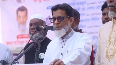 নির্বাচিত হয়েছেন