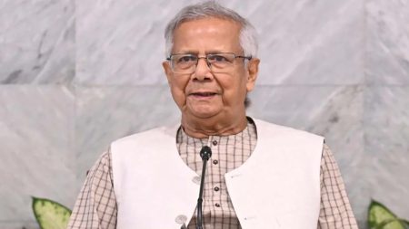 প্রধান উপদেষ্টা