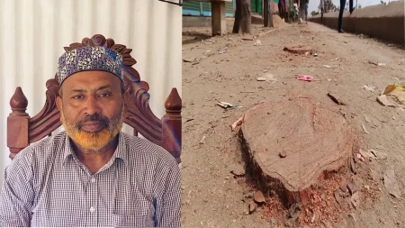 বিএনপি নেতার গাড়ি প্রবেশে বাধা, কেটে ফেলা হয়েছে বেড়িবাঁধের গাছ বিএনপি নেতার গাড়ি প্রবেশে বাধা