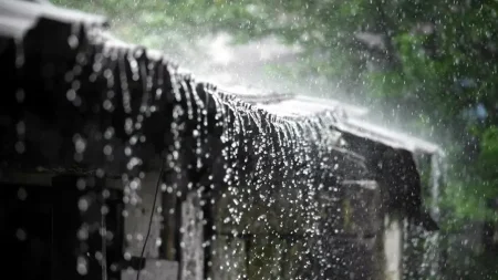 কবে থেকে শুরু হতে পারে বৃষ্টি, জানাল আবহাওয়া অফিস বৃষ্টি -আবহাওয়া অফিস